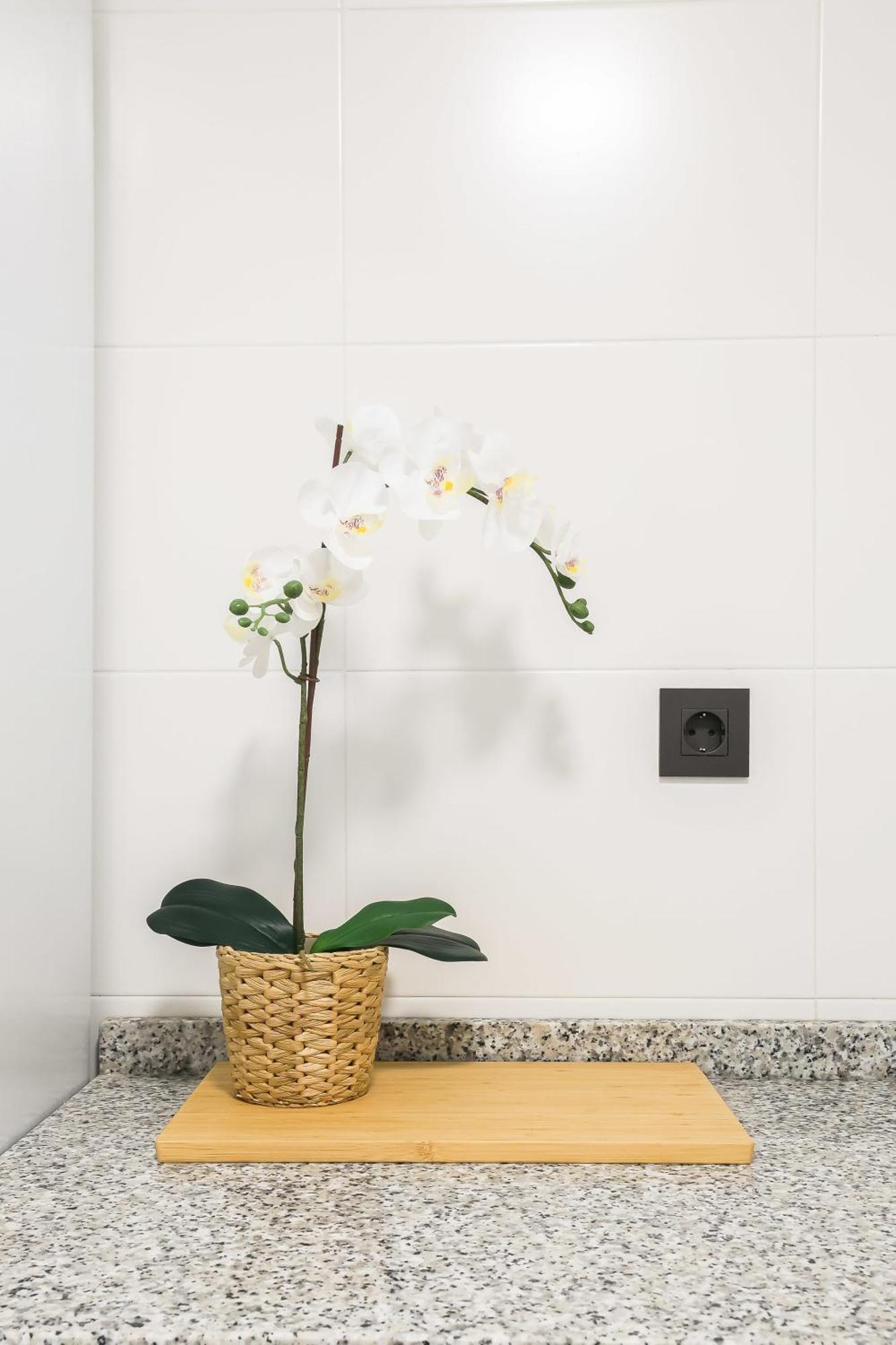 Apartamento Palermo Living Suites En Burriana Bagian luar foto
